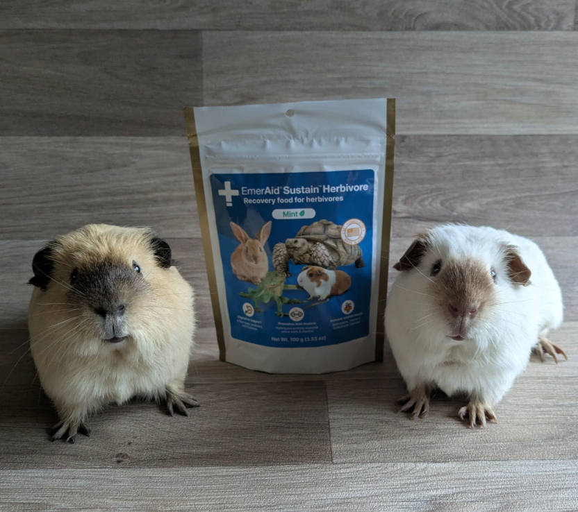 EmerAid Sustain Herbivore® 100g
