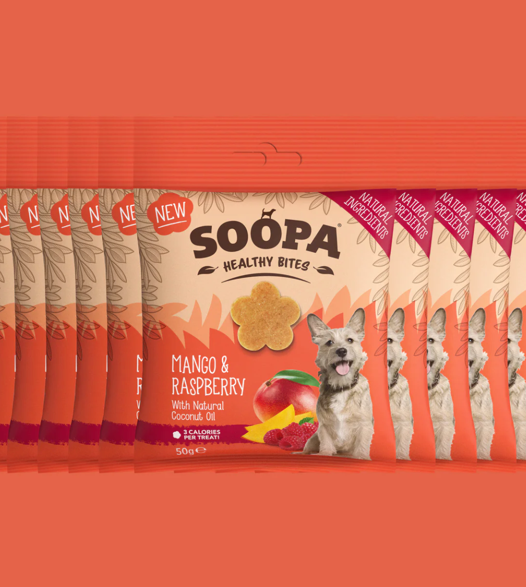 Mango & Raspberry Healthy Bites