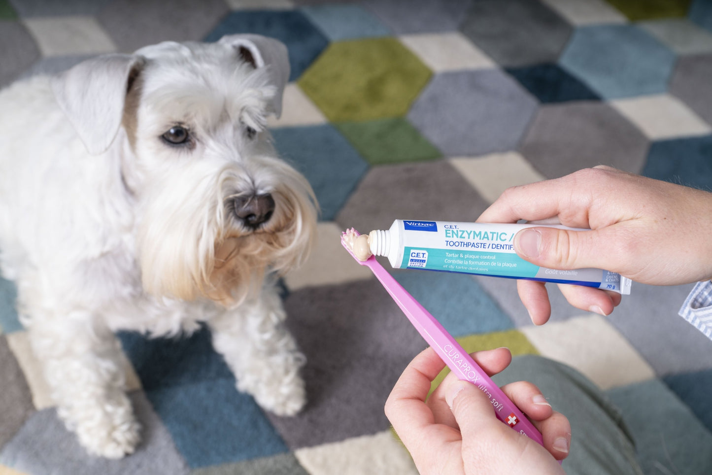 Virbac Enzymatic Toothpaste for Dogs and Cats