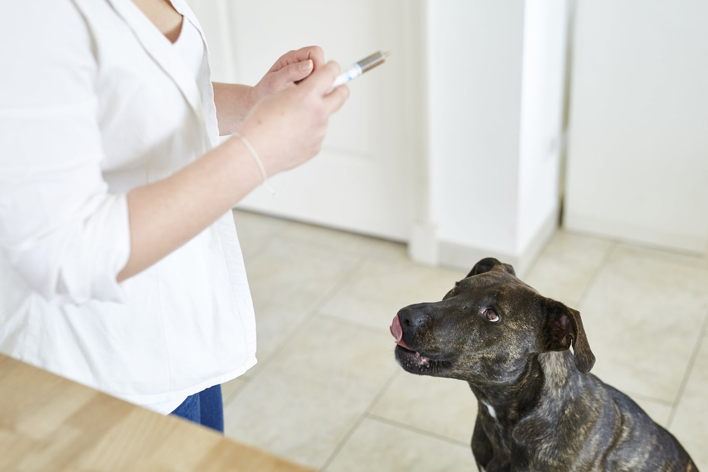 Pronefra® - Kidney Support Supplement for Cats & Dogs