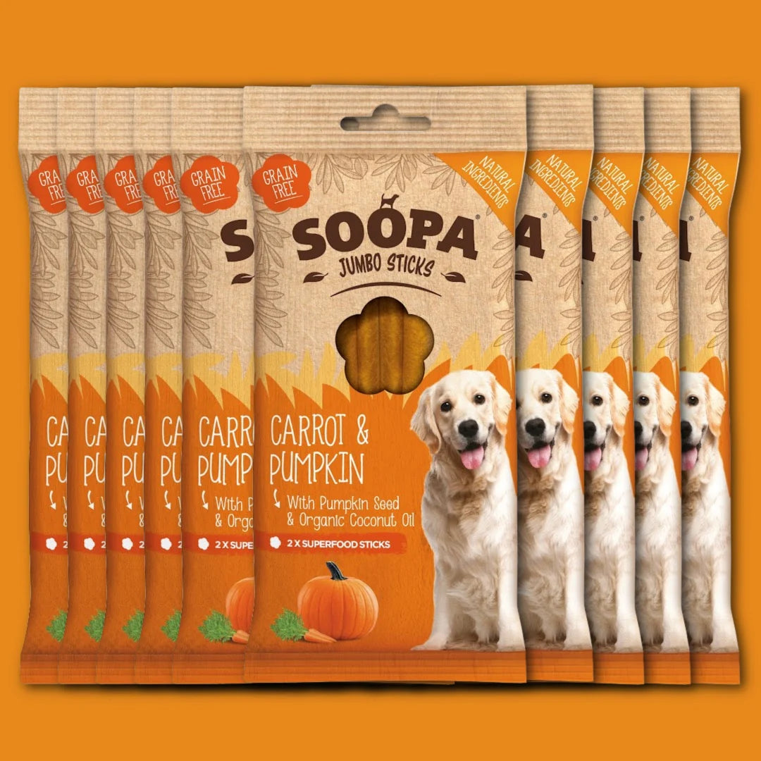 Tannpinnar úr gulrót og graskeri fyrir stórar hundakyn