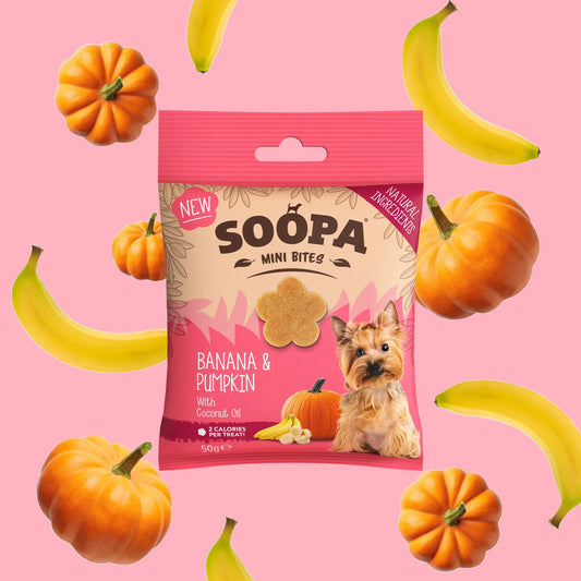 Banana & Pumpkin Healthy Bites for Mini Dogs