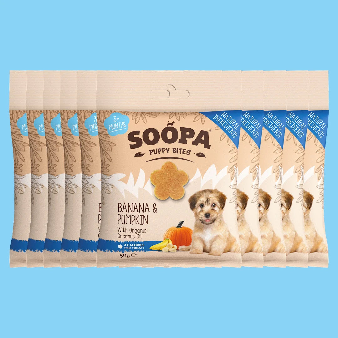 Banana & Pumpkin Healthy Training Bites for Puppies