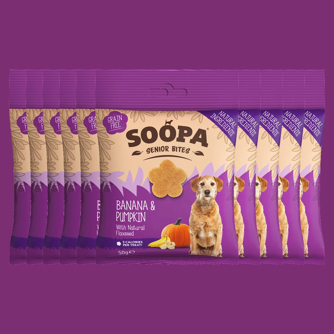 Banana, Pumpkin & Flaxseed Healthy Bites for Senior Dogs