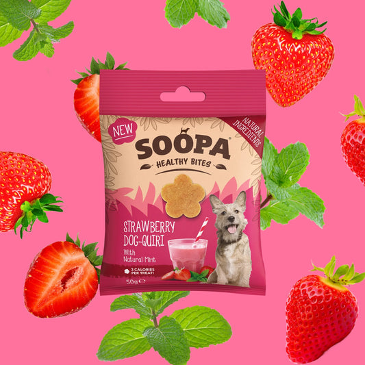 Strawberry Dog-Quiri Healthy Bites