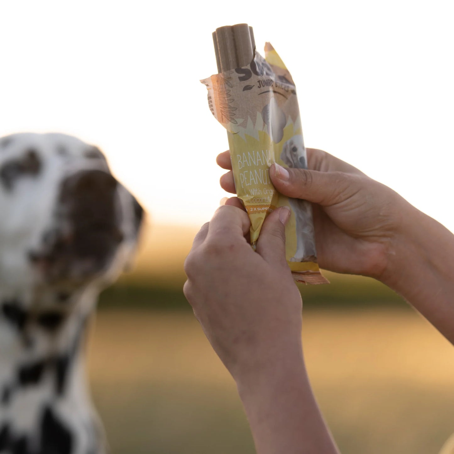 Tannpinnar úr banana og hnetusmjöri fyrir stórar hundakyn