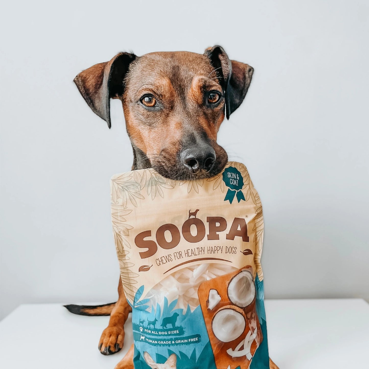 Natural Coconut Chews