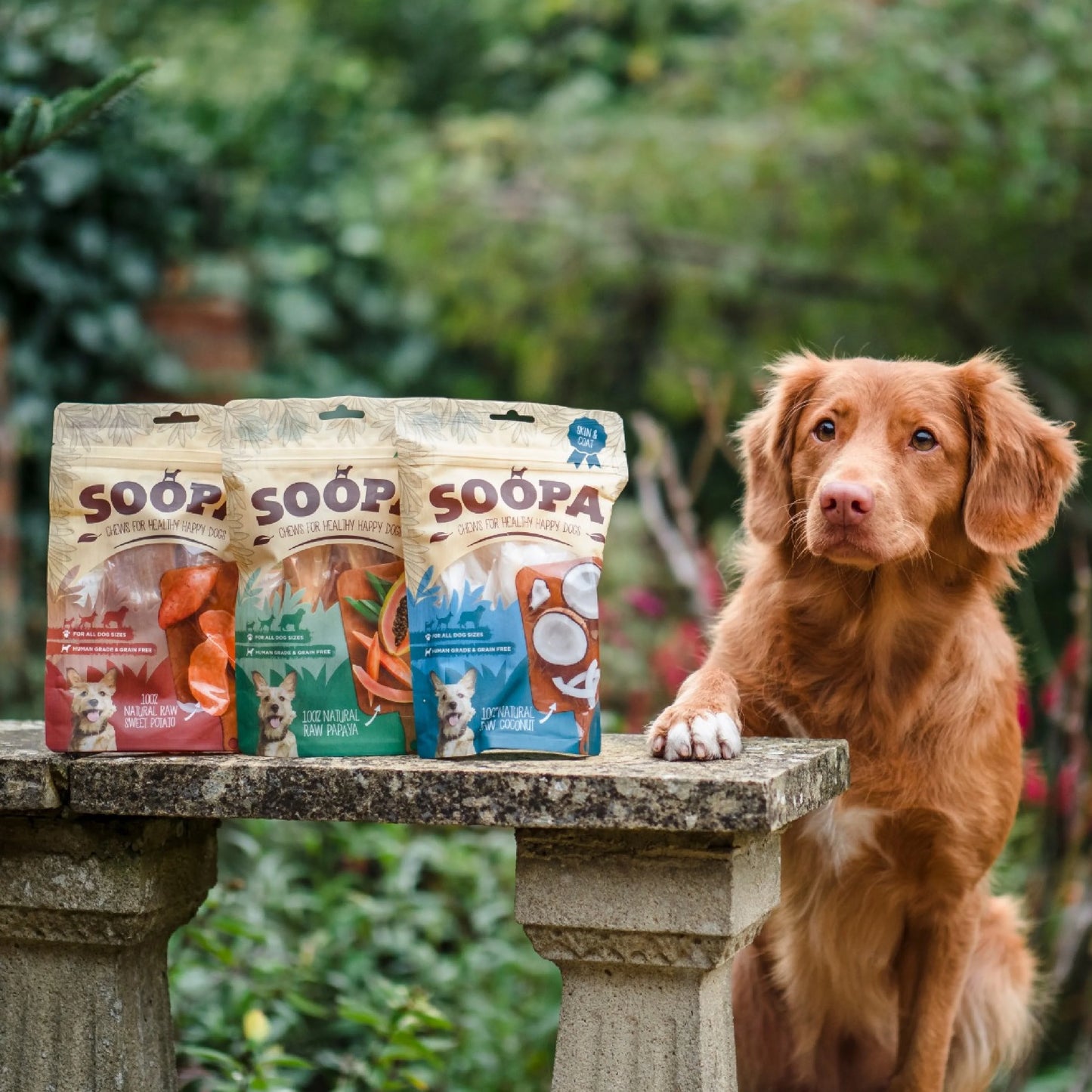 Natural Papaya Chews