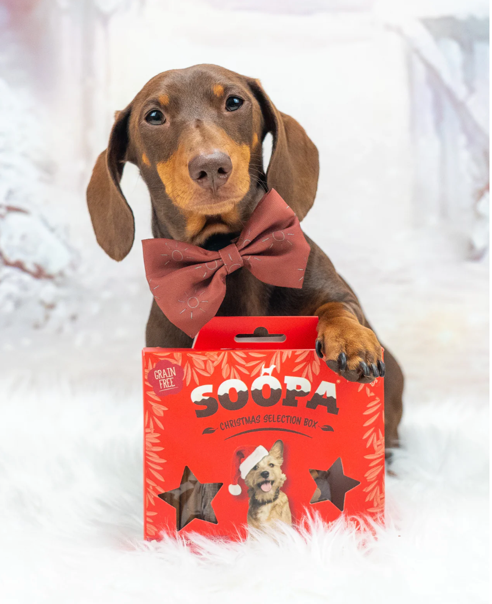 Christmas Selection Box - Cranberry & Sweet Potato Sticks & Bites