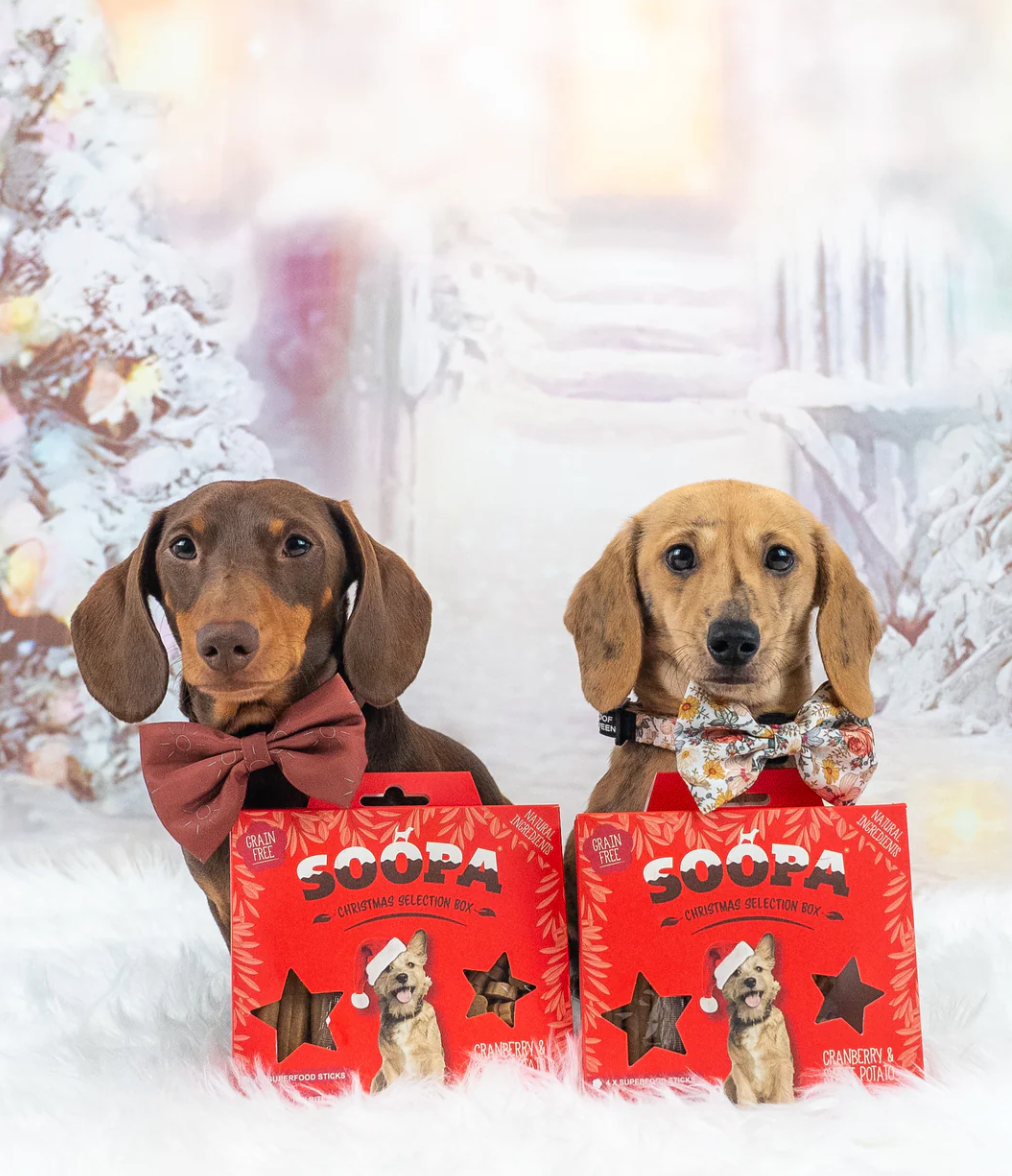 Christmas Selection Box - Cranberry & Sweet Potato Sticks & Bites