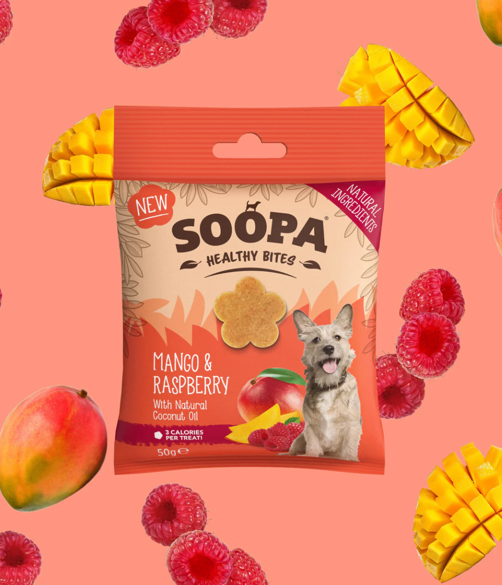 Mango & Raspberry Healthy Bites