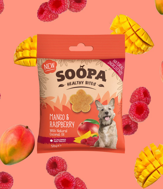 Mango & Raspberry Healthy Bites