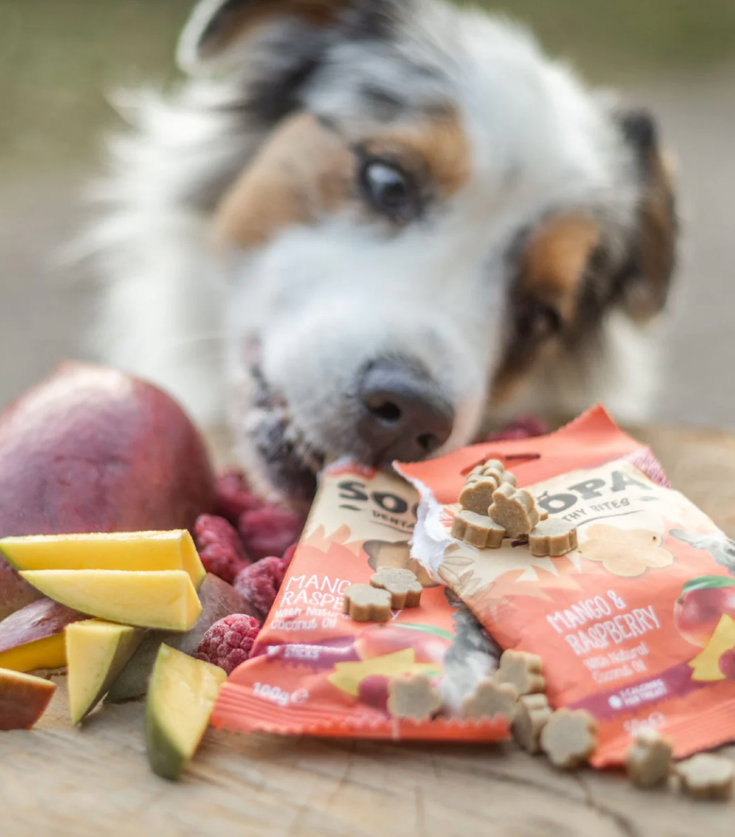 Mango & Raspberry Healthy Bites