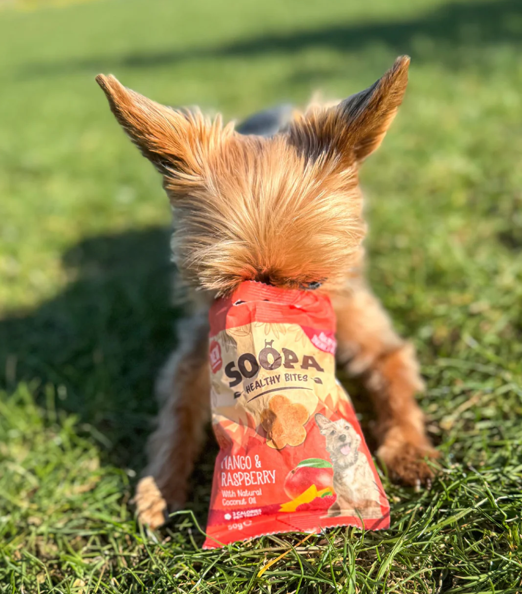 Mango & Raspberry Healthy Bites