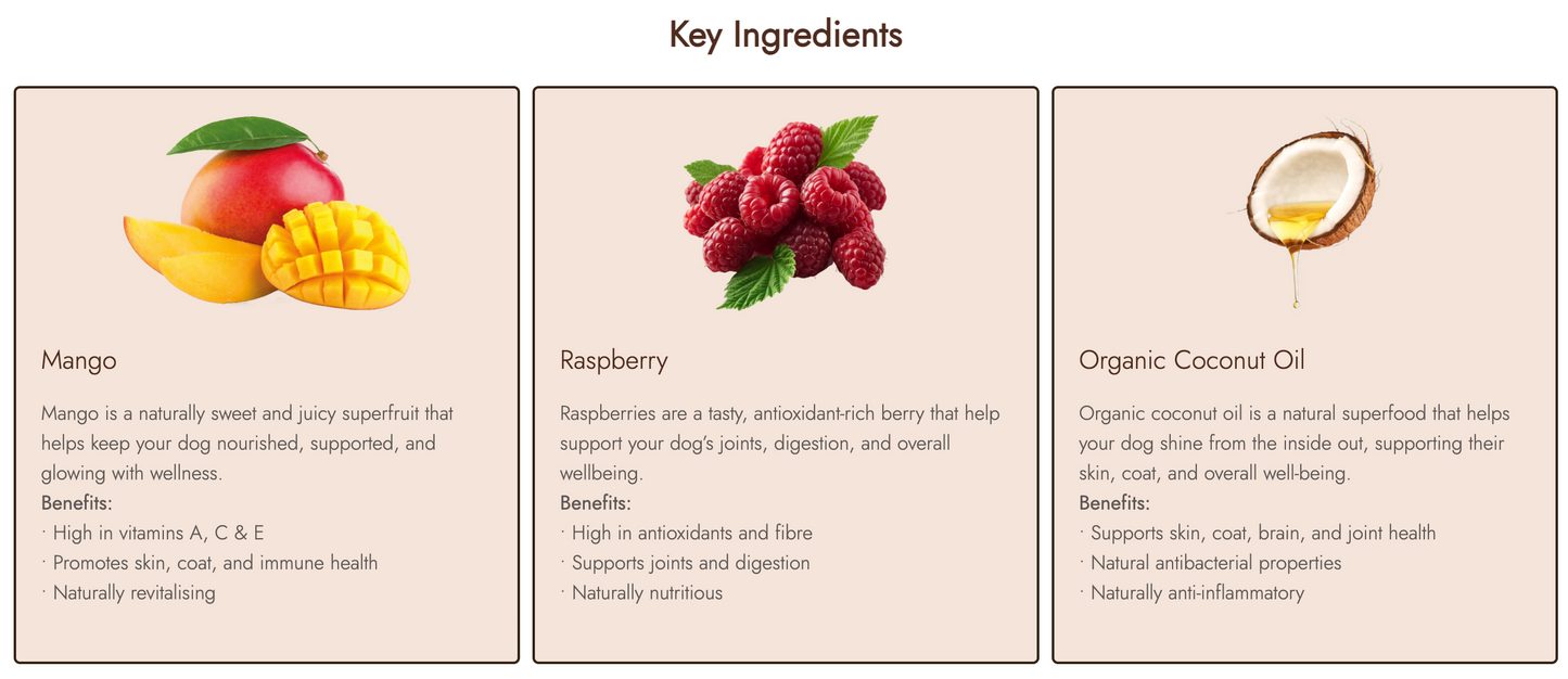 Mango & Raspberry Healthy Bites