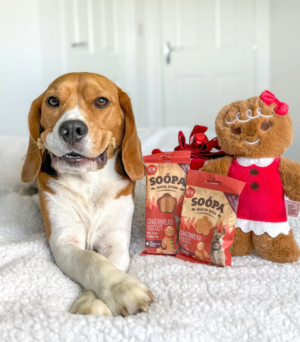 Gingerbread Biscuit Dental Sticks