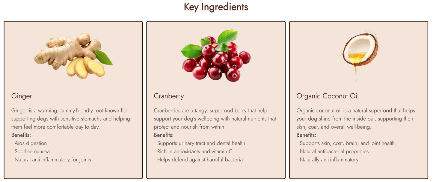 Gingerbread Biscuit Dental Sticks