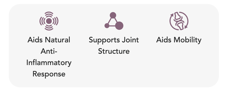 YuMOVE ADVANCE 360 Joint Care For Dogs