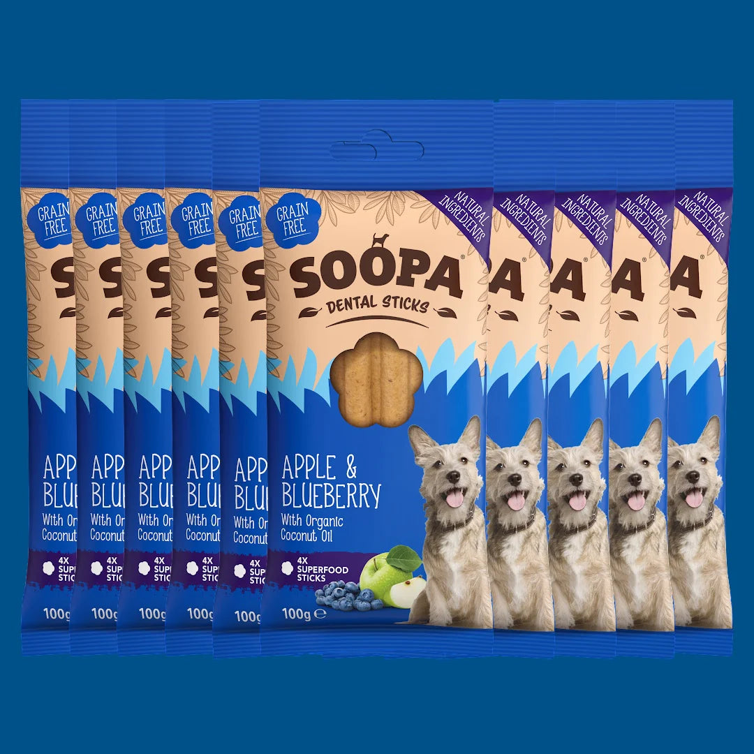 Apple & Blueberry Dental Sticks