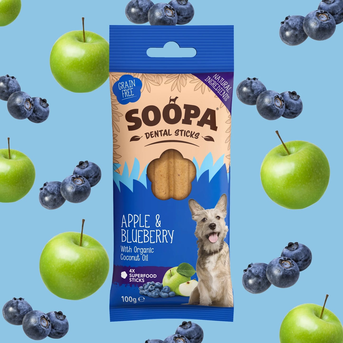 Apple & Blueberry Dental Sticks