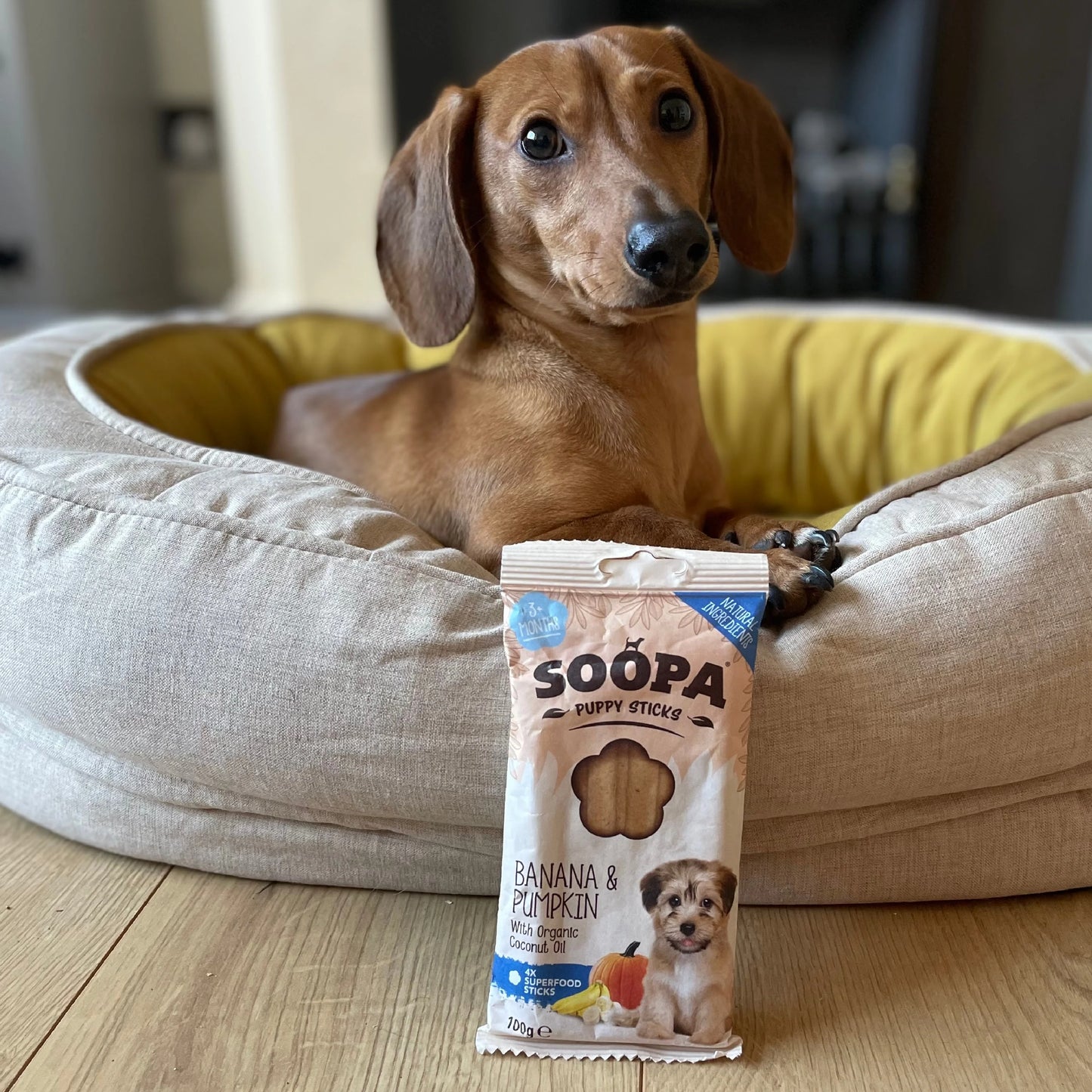 Banana- og graskers tannpinnar fyrir hvolpa