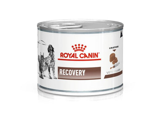 RC Dog/Cat Recovery 195gr